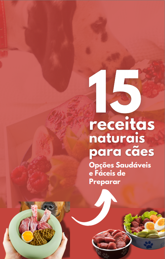 15 Receitas naturais